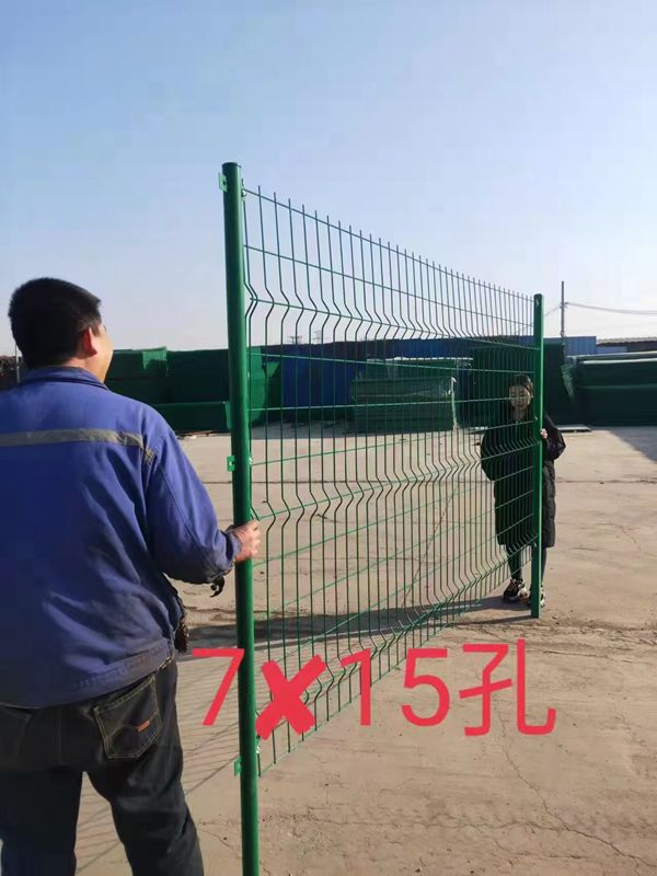 6 (3)